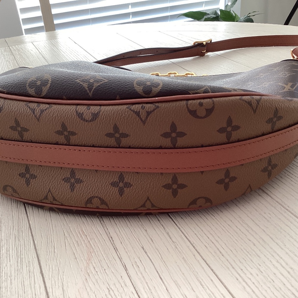 Louis Vuitton Monogram Canvas Hobo with Gold Chain and Brown Leather Trim - Picture 3 of 10